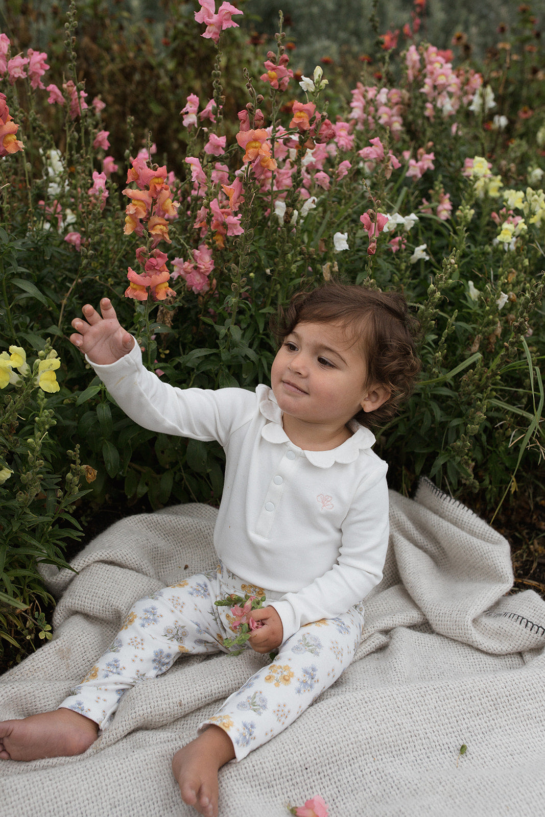 Baby Leggings  Organic Cotton, Designer Clothes, Sizes 0000-5 – Homegrown  Kids