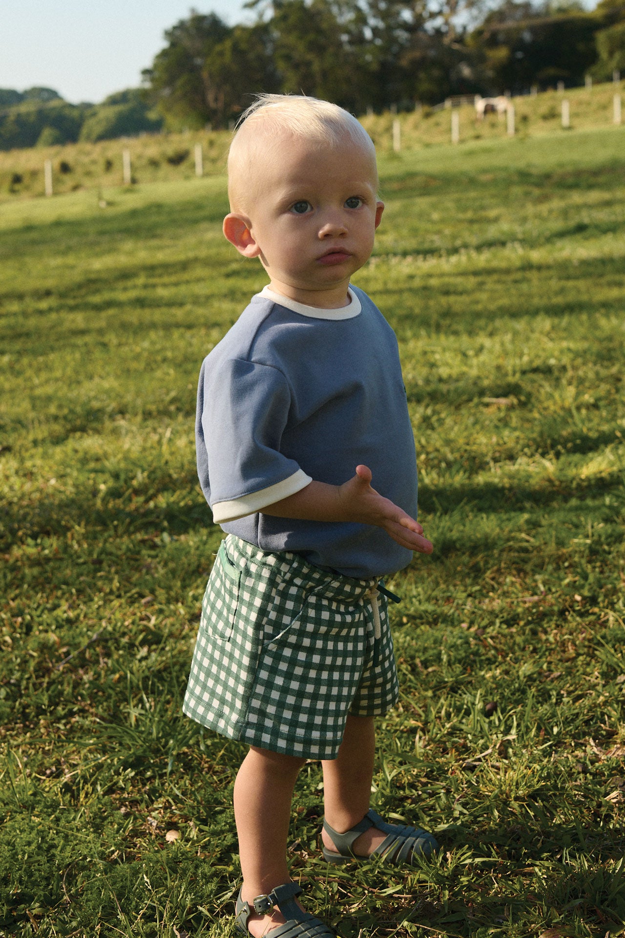 Artie Shorts Green Gingham