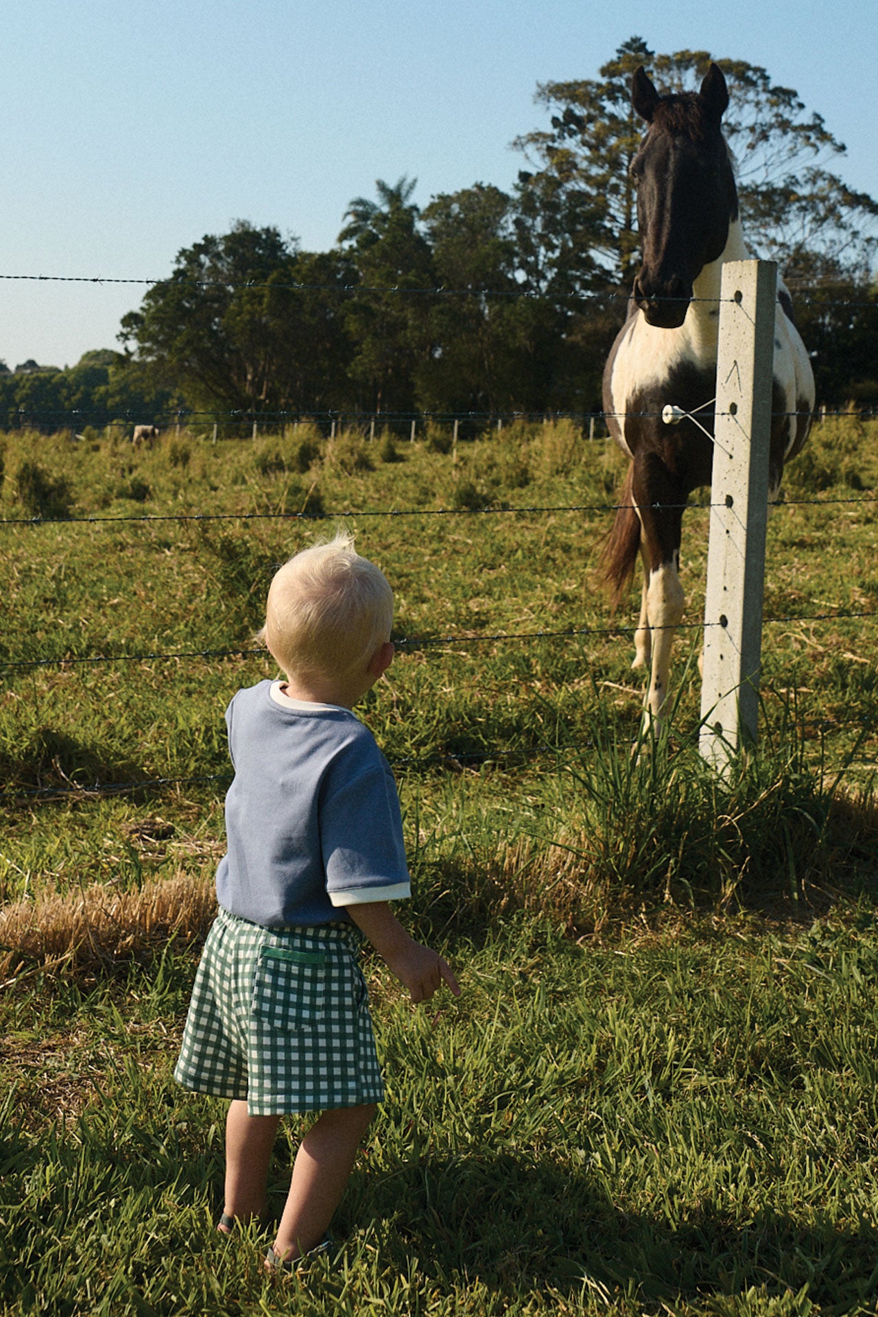 Artie Shorts Green Gingham