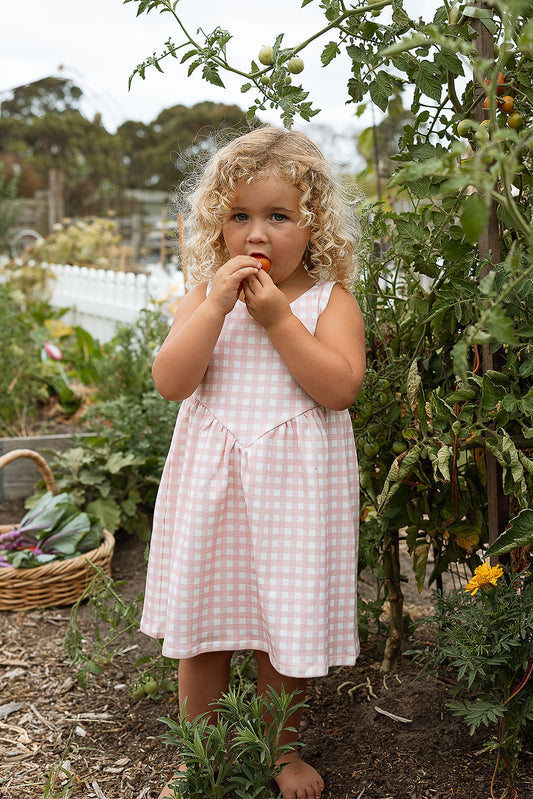 Rosie Dress Pink Gingham