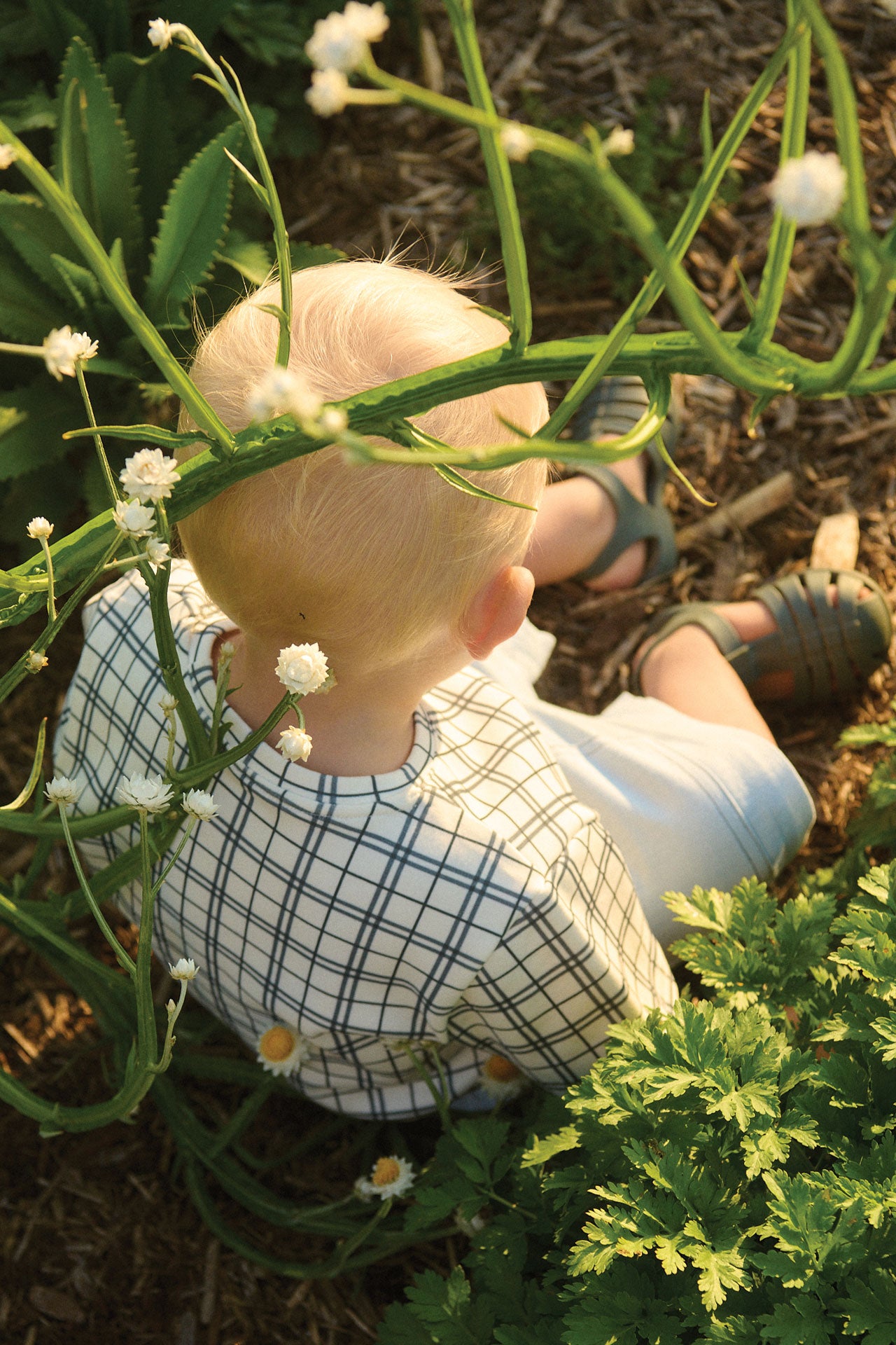 Jersey Tee Navy Check
