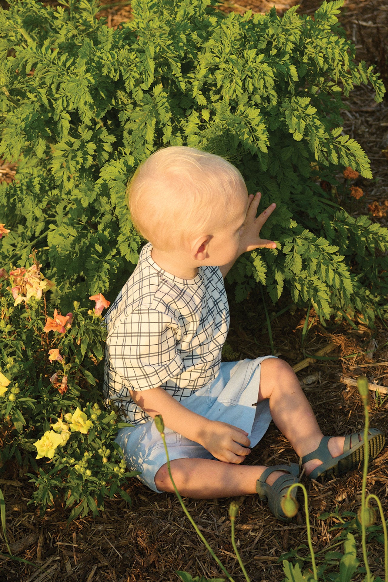Jersey Tee Navy Check