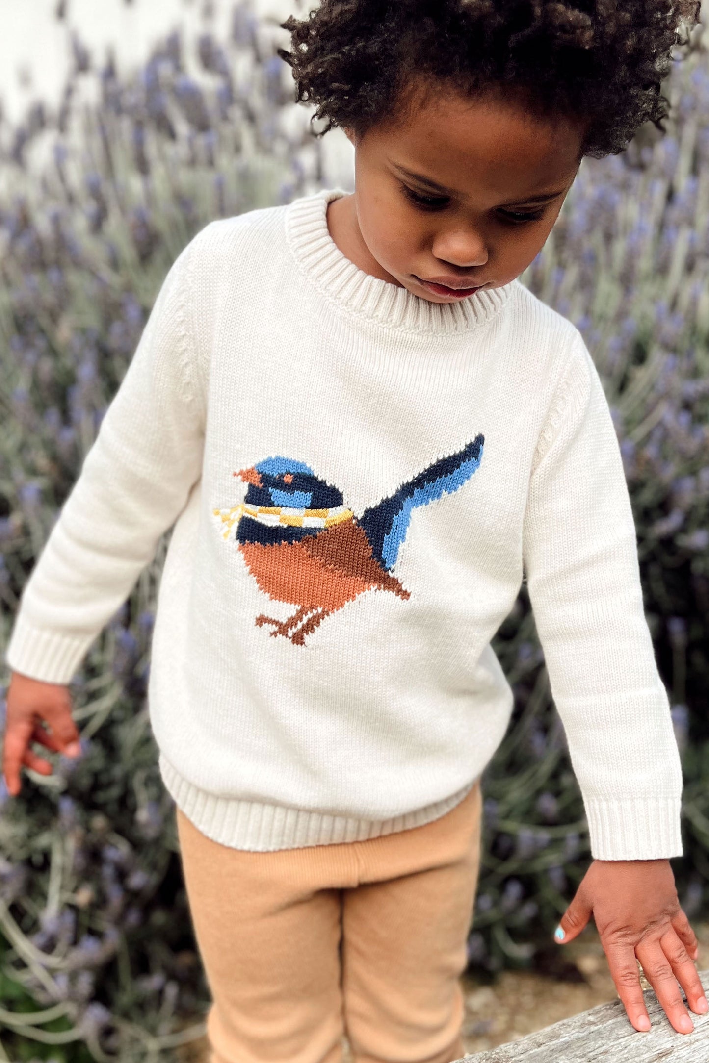 William Wagtail Jumper 2.0
